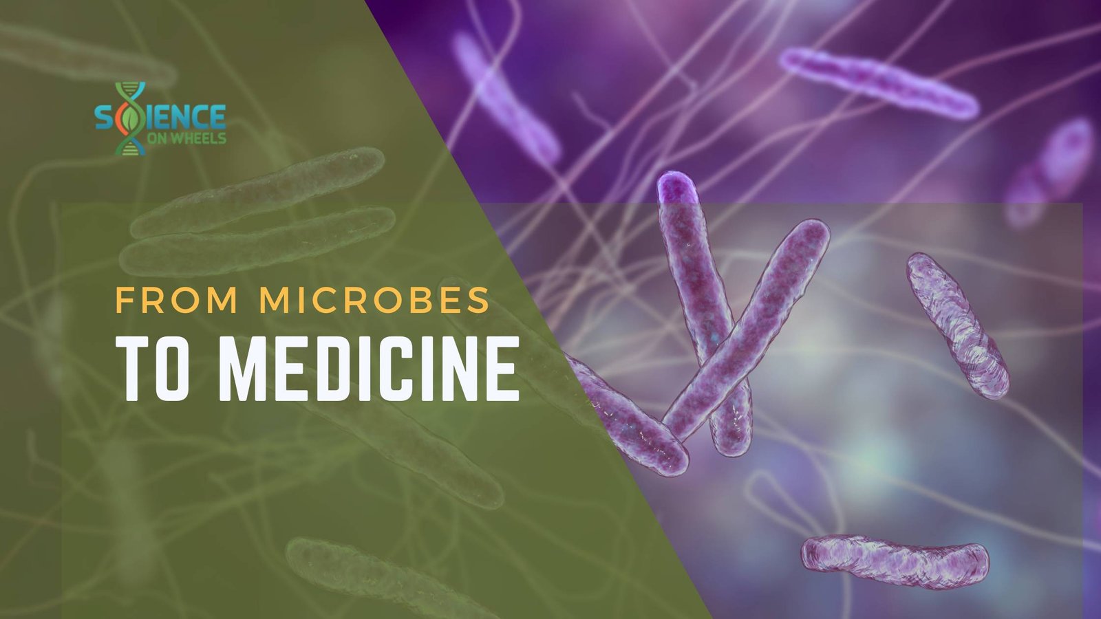 From Microbes to Medicine